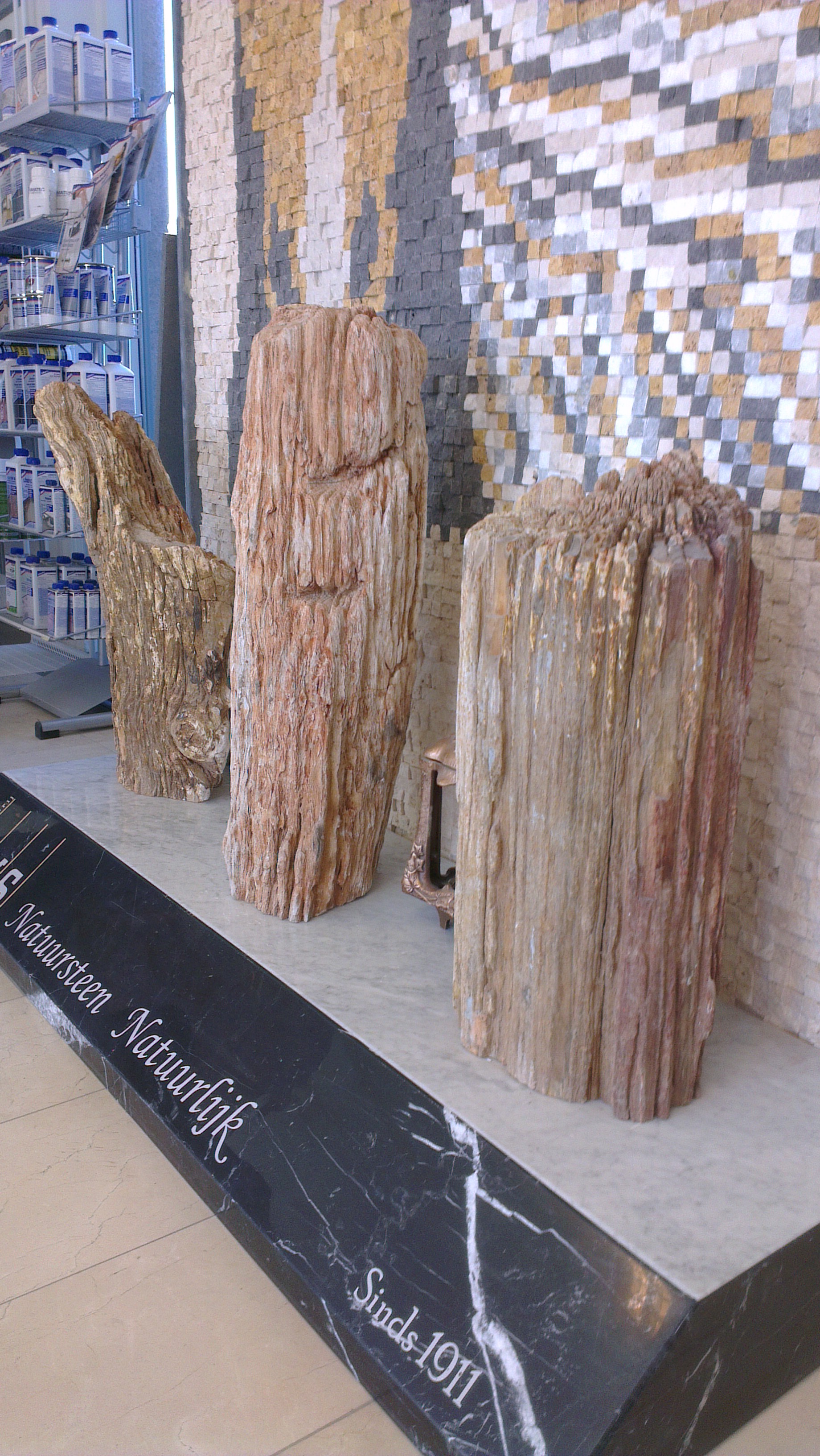 Versteend hout ter decoratie, € 300,- per stuk